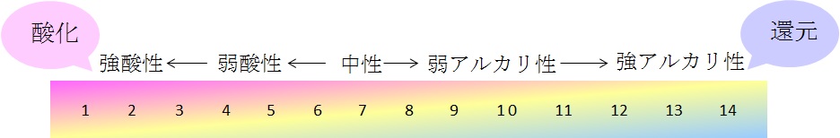 pHとは