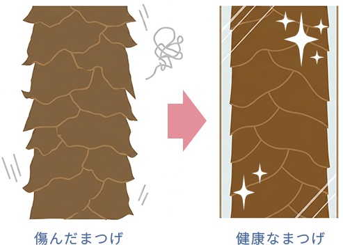 2STEPトリートメント